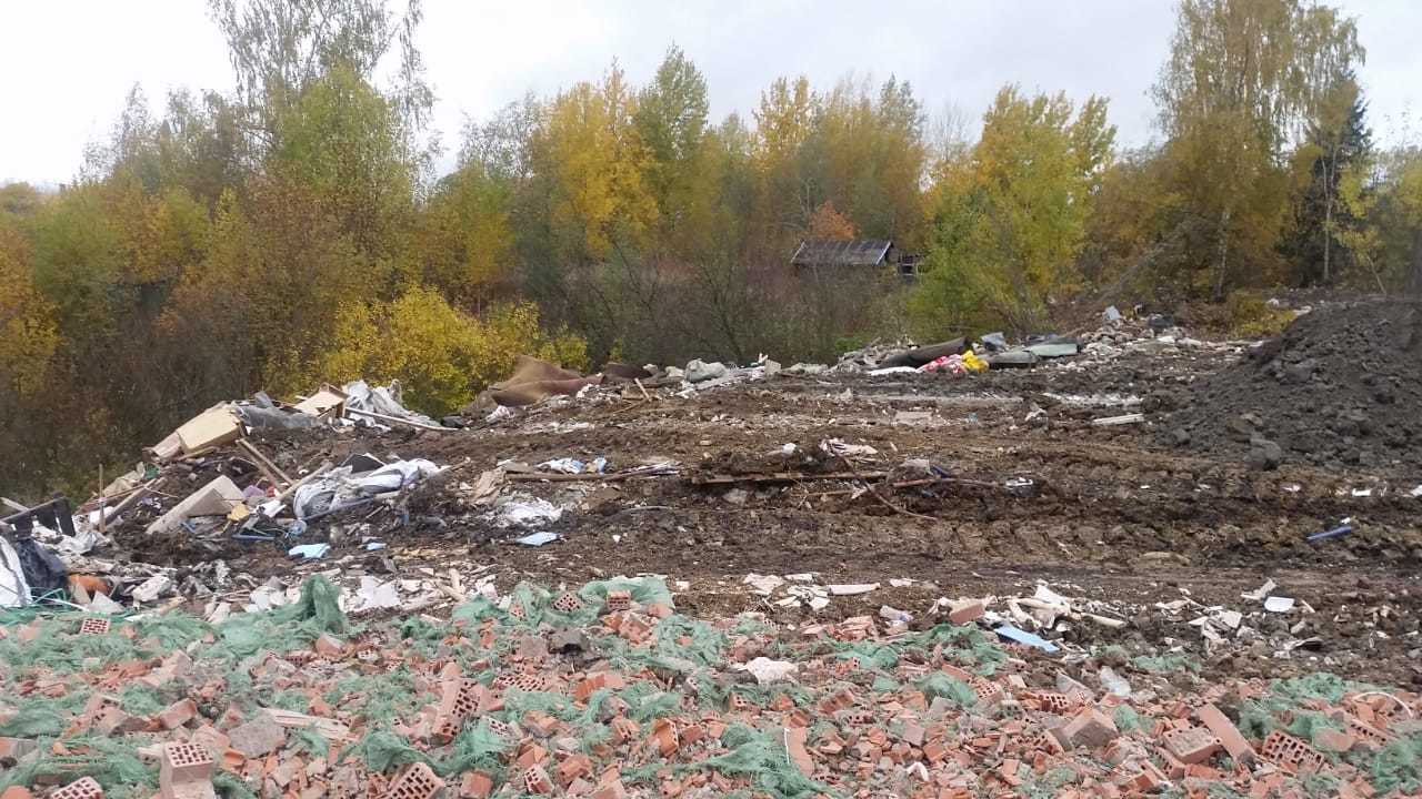 Фото: комитет по природопользованию, охране окружающей среды и обеспечению экологической безопасности